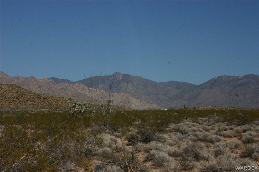 M14 Douglas Road Yucca, AZ 86438 - Photo 7 of 25