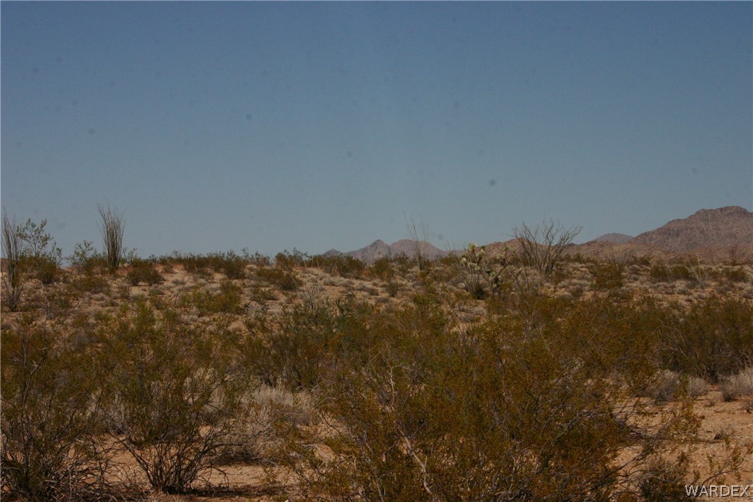 M14 Douglas Road Yucca, AZ 86438 - Photo 10 of 25