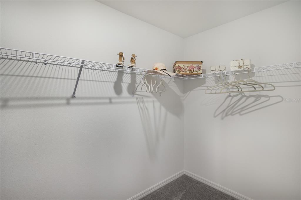 5552 Blue Azure Drive Wimauma, FL 33598 - Photo 21 of 63