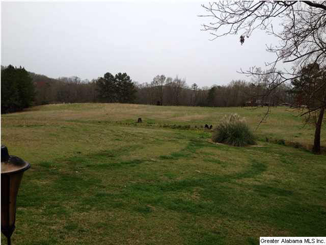 1720 Ross Lake Road Wellington, AL 36279 - Photo 28 of 32