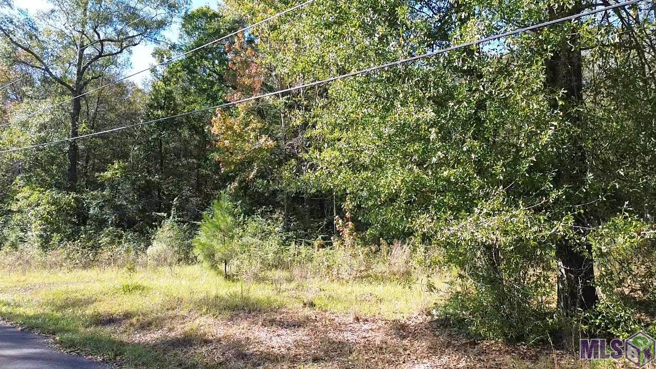 17400 Carroll Road Bogalusa, LA 70427 - Photo 2 of 5