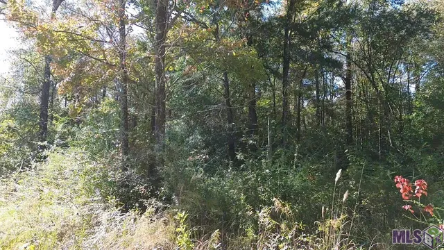 $29,900 | 17400 Carroll Road, Bogalusa, LA 70427