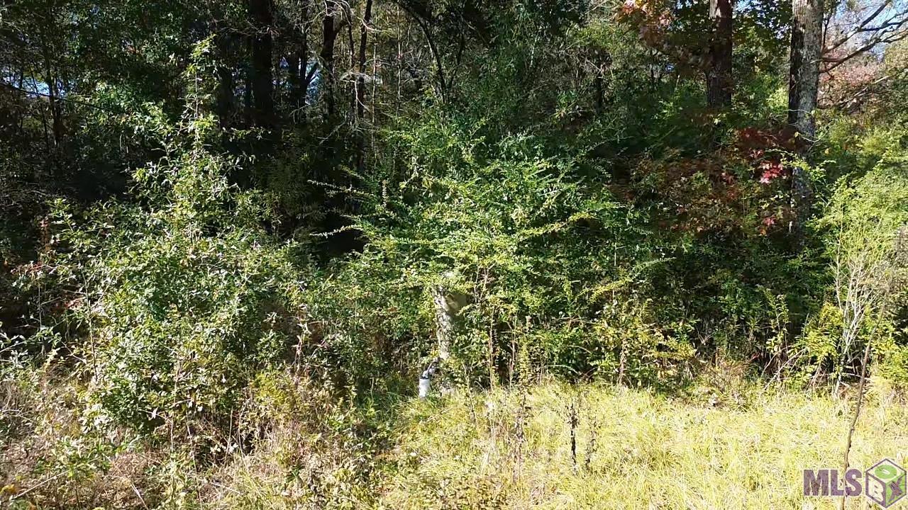 17400 Carroll Road Bogalusa, LA 70427 - Photo 4 of 5