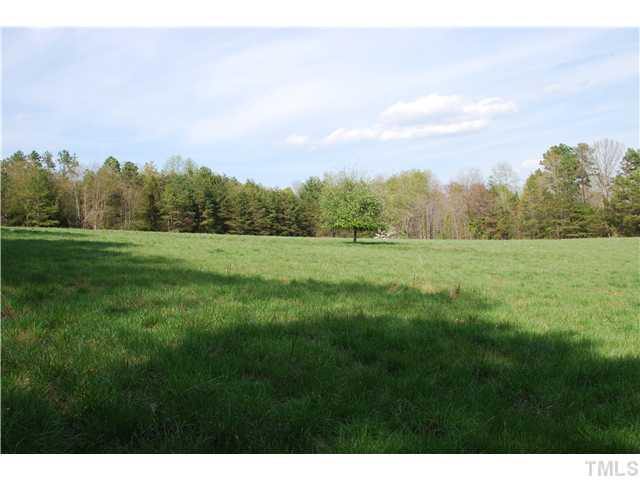 Cedar Street Elkin, NC 28621 - Photo 1 of 10 OPen Pasture Land