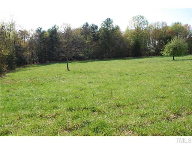 Cedar Street Elkin, NC 28621 - Photo 2 of 10 Open Pasture Land