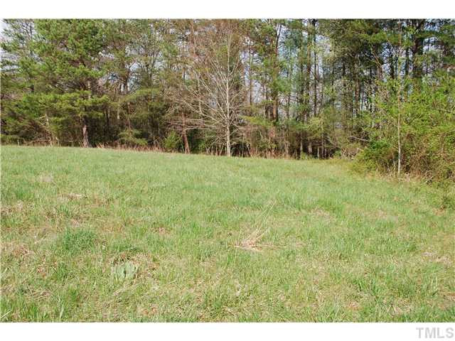 Cedar Street Elkin, NC 28621 - Photo 3 of 10 Open Pasture Land