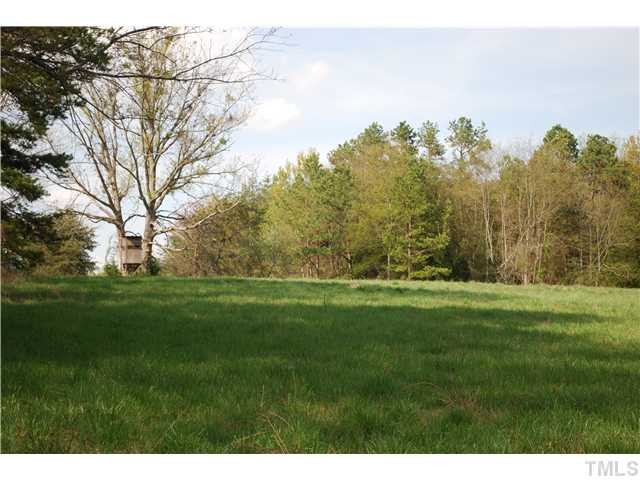 Cedar Street Elkin, NC 28621 - Photo 4 of 10 Open Pasture Land