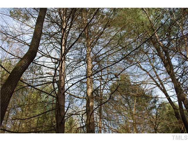 Cedar Street Elkin, NC 28621 - Photo 6 of 10 Hardwood and Pines