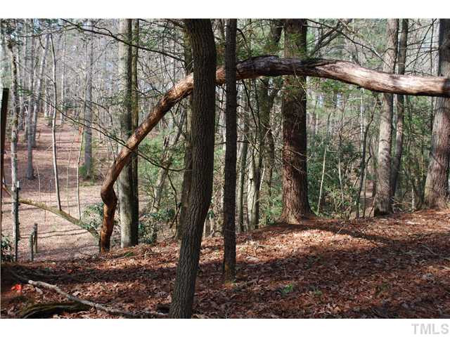 Cedar Street Elkin, NC 28621 - Photo 10 of 10 Woods