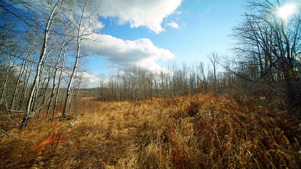 Lot 4.1 Lawlor Ridge Road Benedicta, ME 04733 - Photo 30 of 48 benedicta-me-land-12