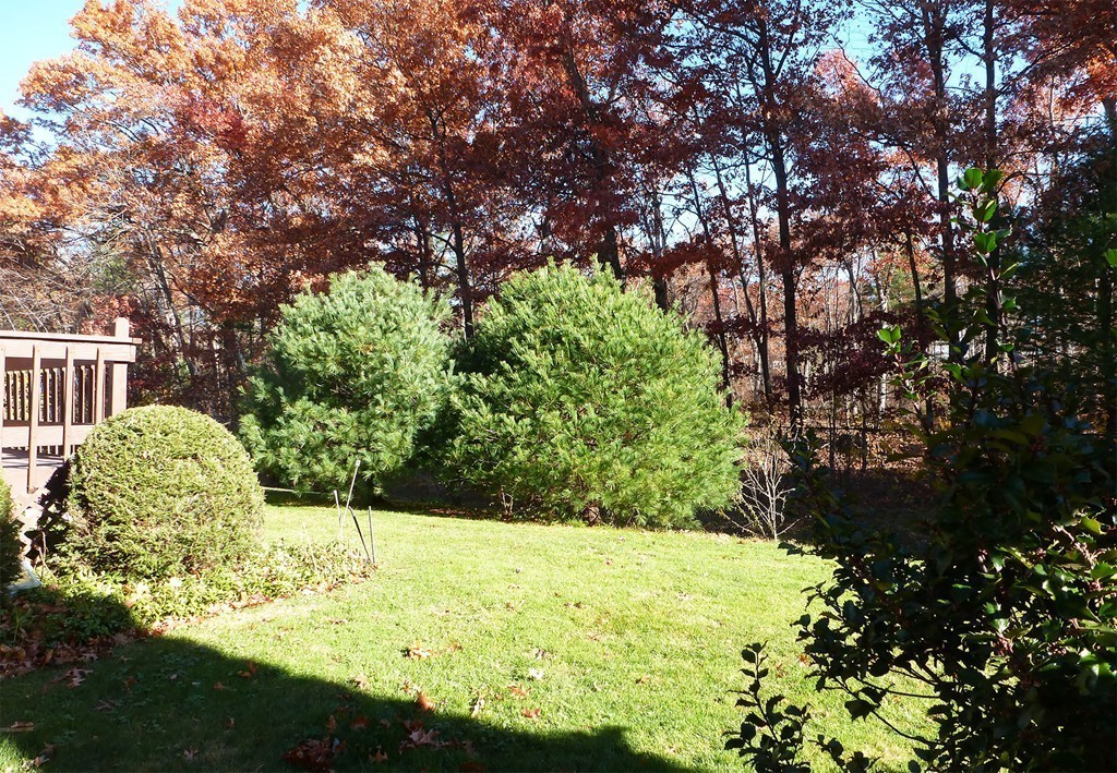 14 Castle Hills Road, Unit E Agawam, MA 01001 - Photo 15 of 17 Gallery Image 15