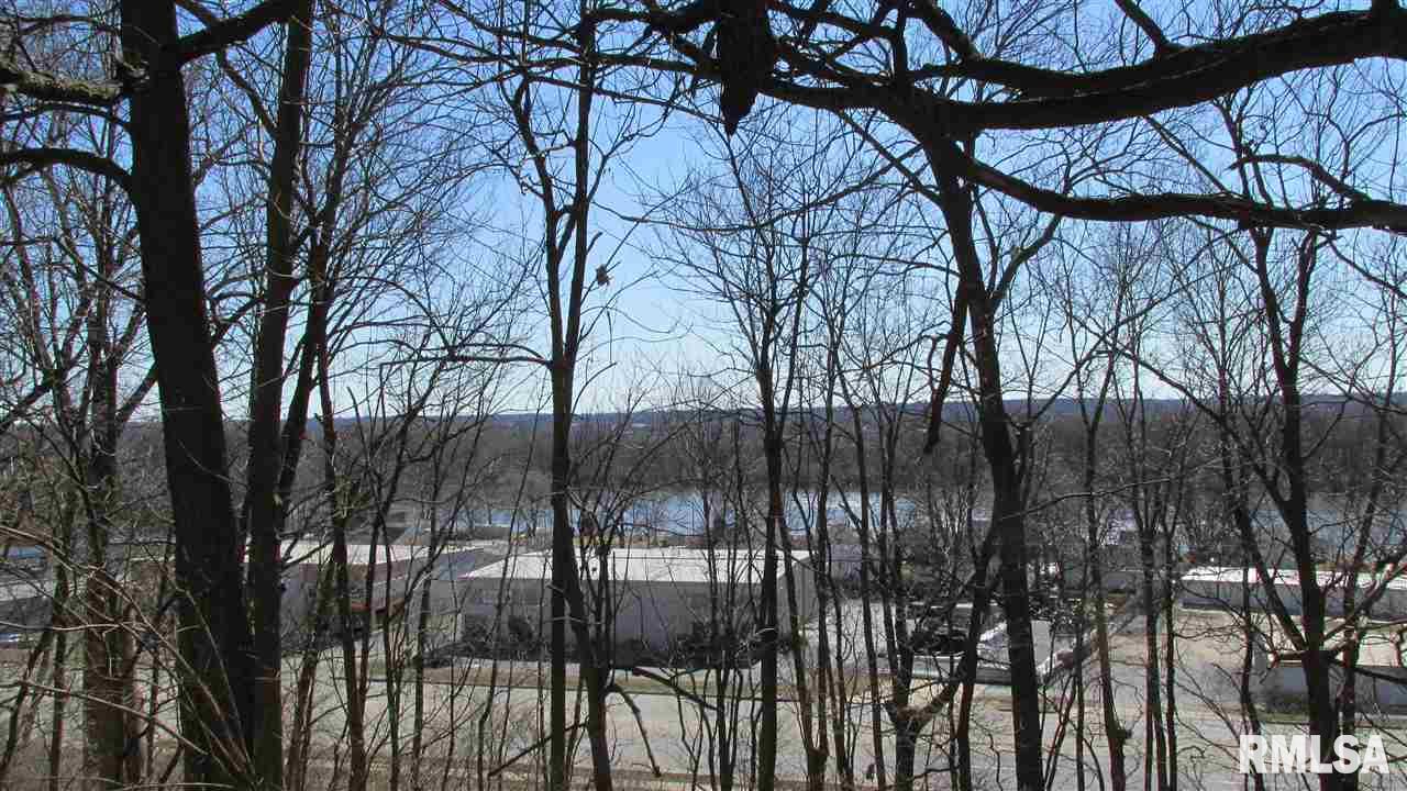 2701 Blackhawk Road Rock Island, IL 61201 - Photo 22 of 24 Gallery Image 22