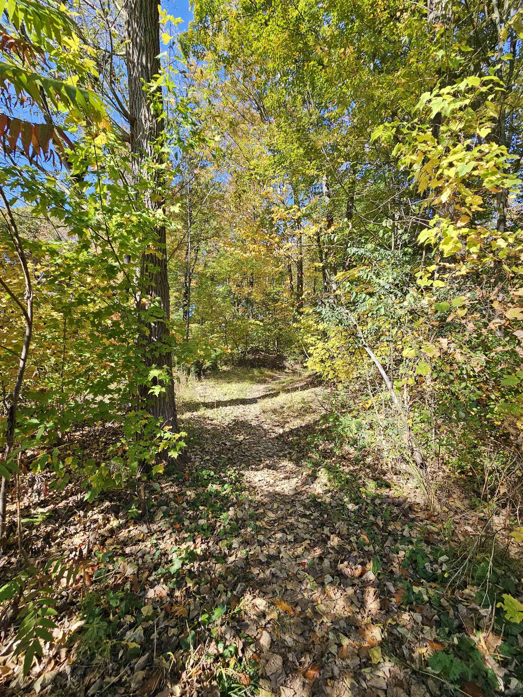 19 Rustic Drive Essex, VT 05452 - Photo 59 of 59
