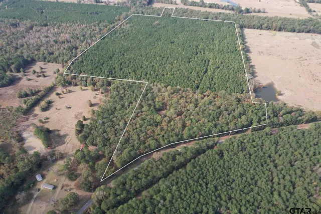 a view of a yard and mountain view