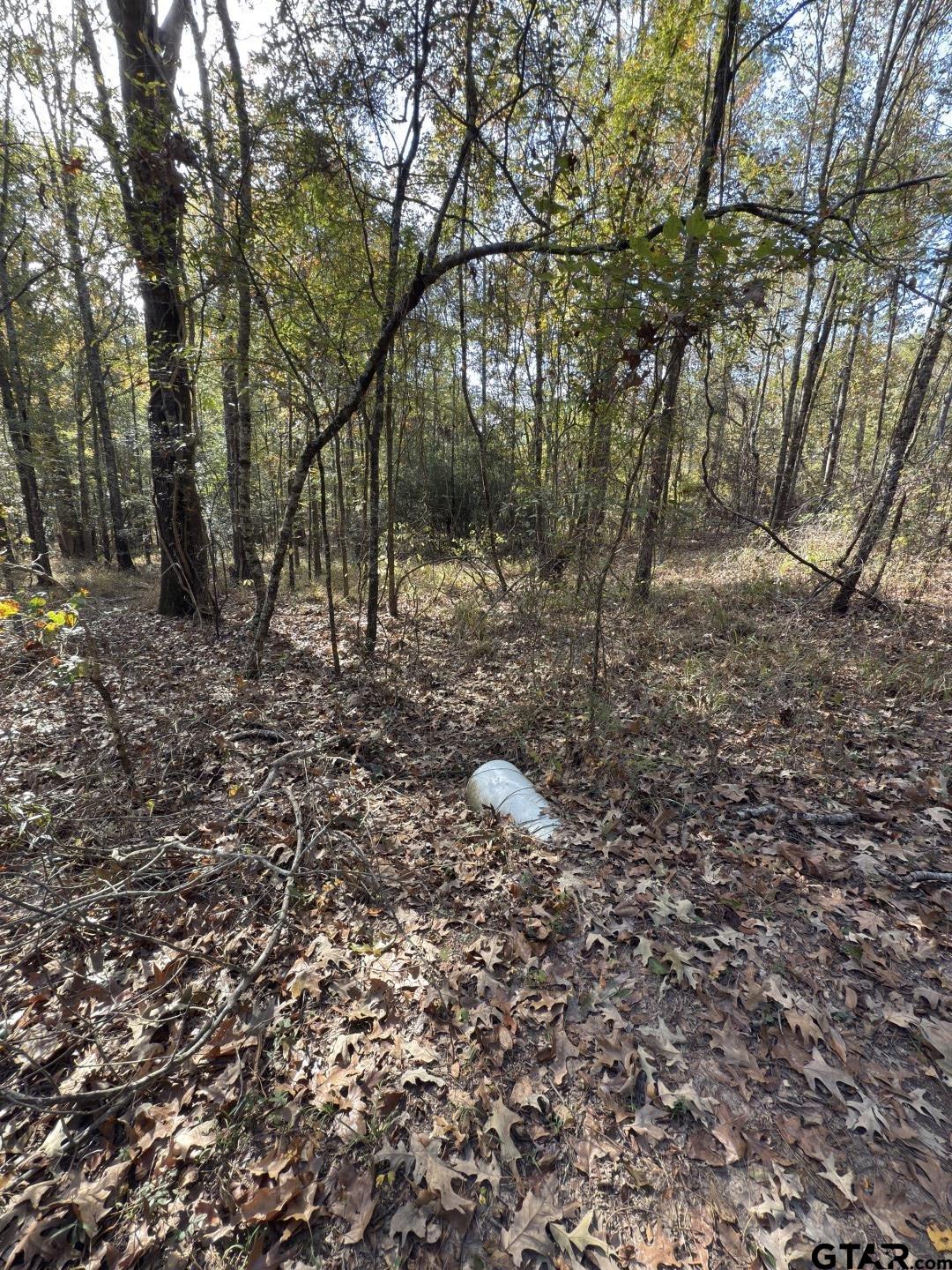 Tbd-a Boggy Road Waskom, TX 75692 - Photo 11 of 28 a big yard with lots of green space