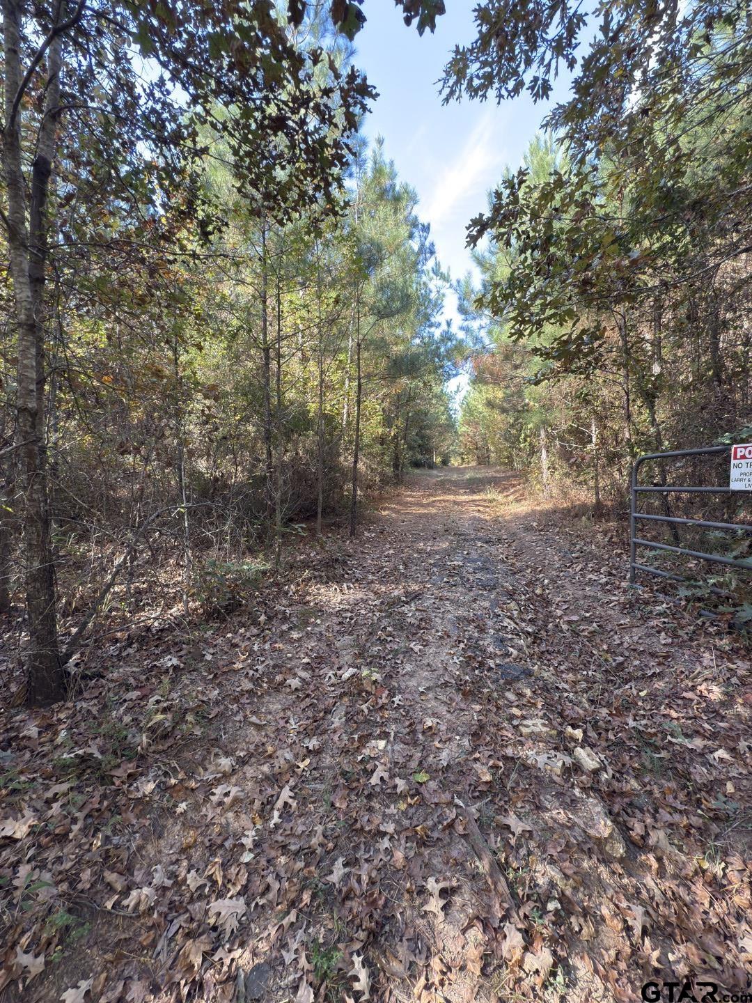 Tbd-a Boggy Road Waskom, TX 75692 - Photo 17 of 28 a view of a yard with a tree