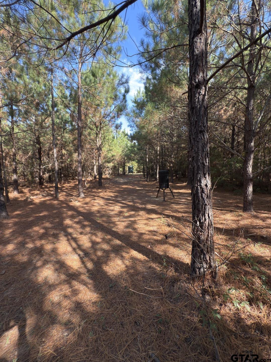 Tbd-a Boggy Road Waskom, TX 75692 - Photo 24 of 28 a view of outdoor space with trees