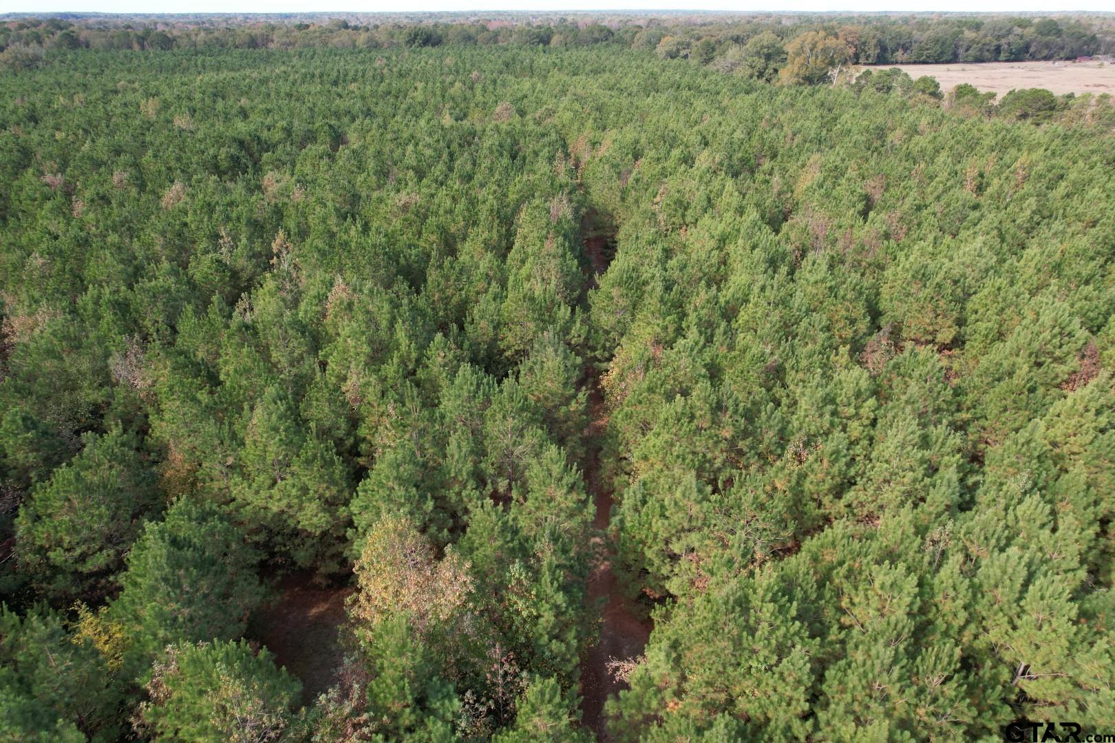 Tbd-a Boggy Road Waskom, TX 75692 - Photo 5 of 28 an aerial view of residential house with outdoor space and trees all around