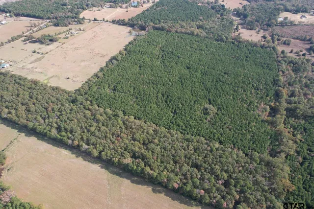a view of a yard with a pathway