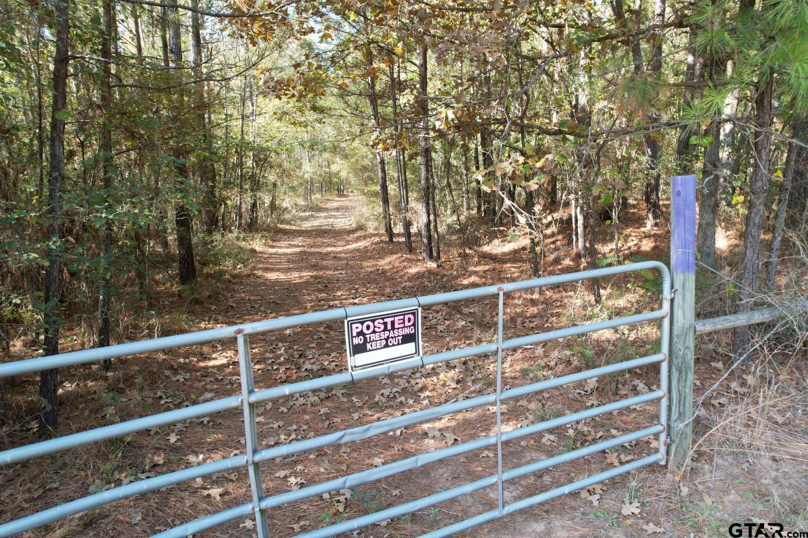 Tbd-a Boggy Road Waskom, TX 75692 - Photo 9 of 28 a view of a street with a tree