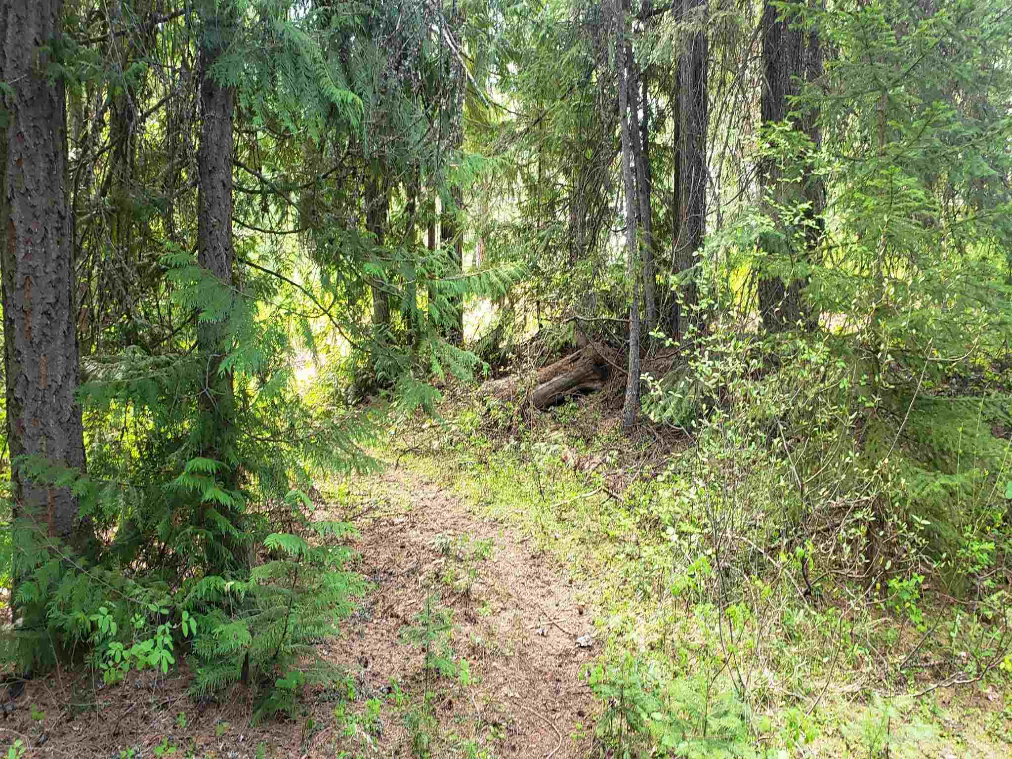 452 Davis Lake Road Usk, WA 99180 - Photo 6 of 10 Gallery Image 6