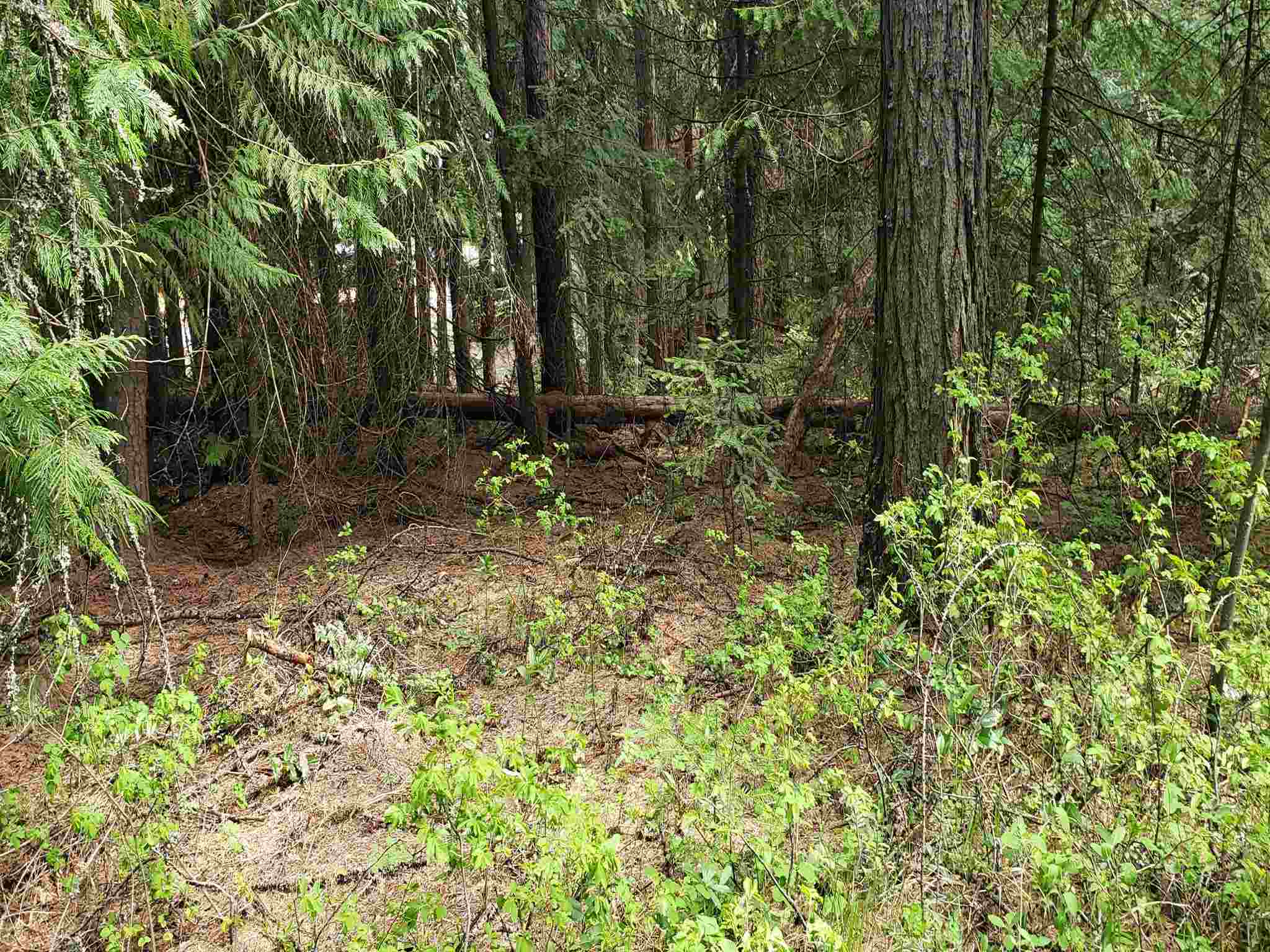 452 Davis Lake Road Usk, WA 99180 - Photo 7 of 10 Gallery Image 7