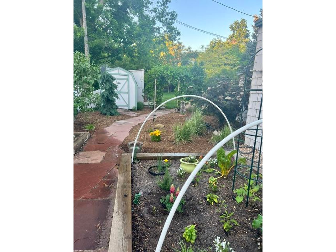 1020 Portland Place Boulder, CO 80304 - Photo 31 of 43 Garden boxes in the summer