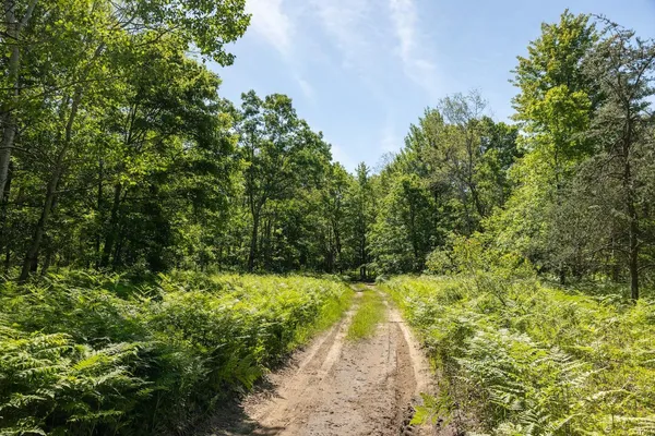 $372,000 | V/l Comstock Avenue, Unit PAR B, Bitely, MI 49309