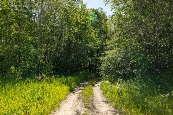 $372,000 | V/l Comstock Avenue, Unit PAR B, Bitely, MI 49309