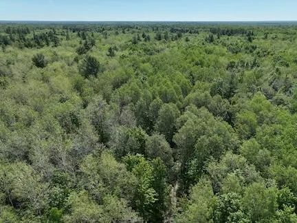 $372,000 | V/l Comstock Avenue, Unit PAR B, Bitely, MI 49309