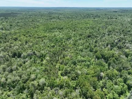 $372,000 | V/l Comstock Avenue, Unit PAR B, Bitely, MI 49309