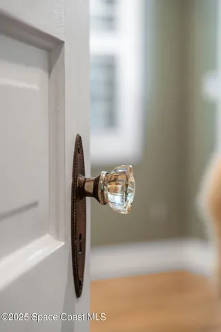 a view of a garden with plants