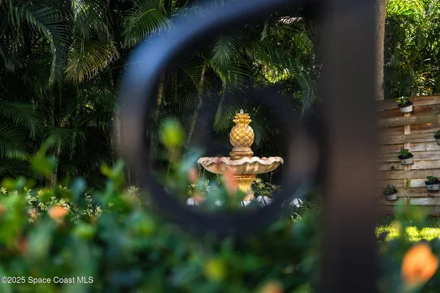 a view of a door with a tree in front of it