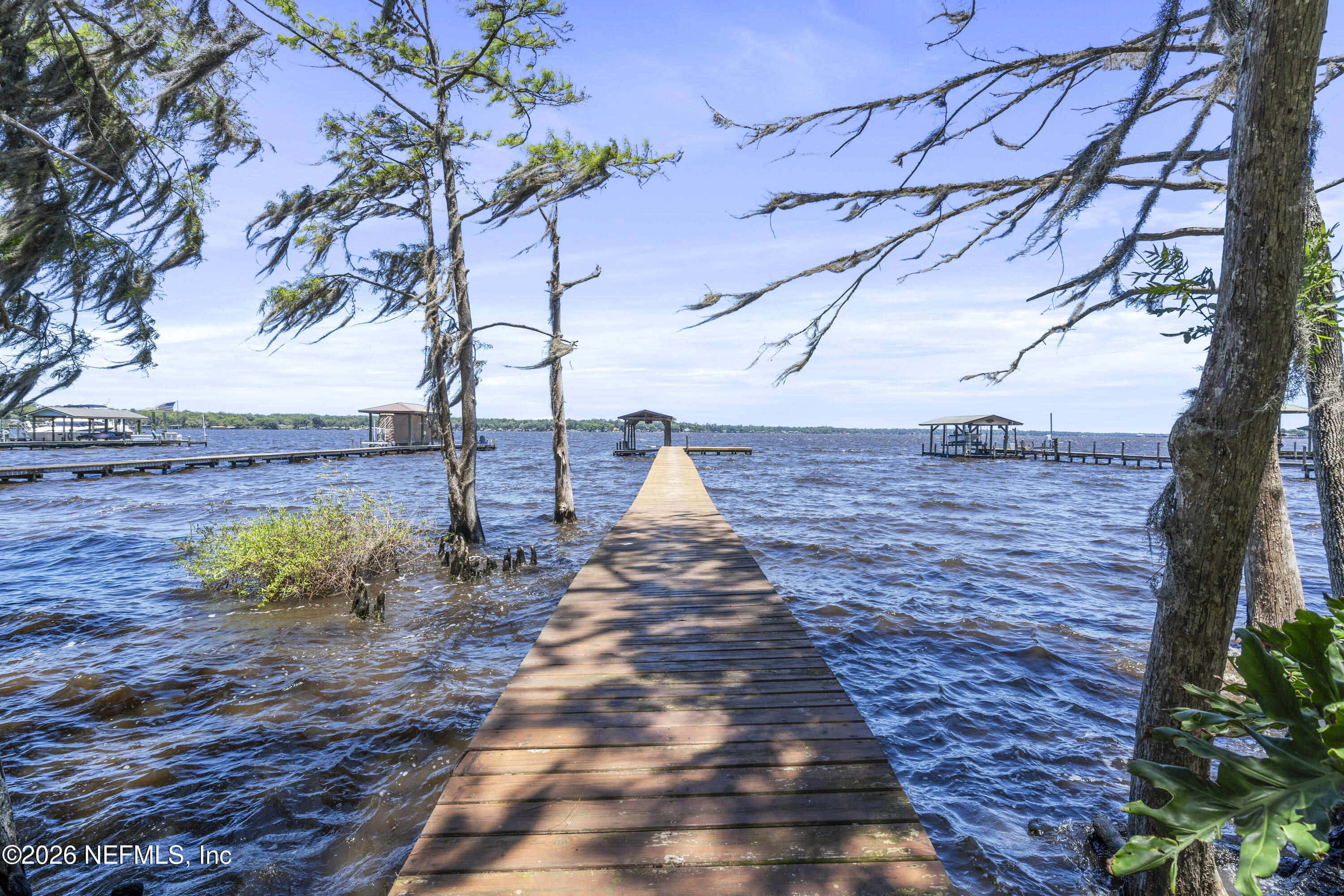 3154 Nautilus Road Middleburg, FL 32068 - Photo 2 of 61 Beautiful Doctors Lake