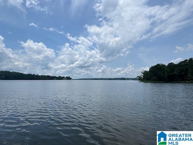 1442 Shannon Way Talladega, AL 35160 - Photo 59 of 73