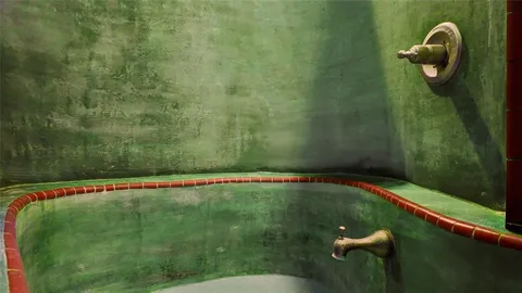 a bathroom with a shower and yard