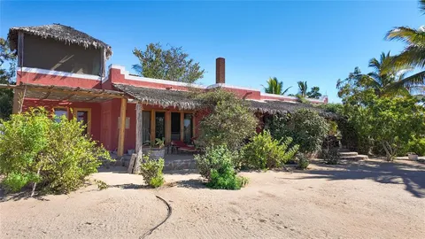 a view of a backyard with large trees and a wooden fence