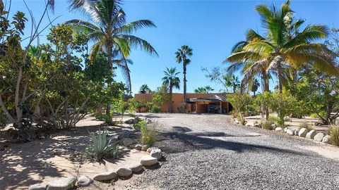 a street view with large trees