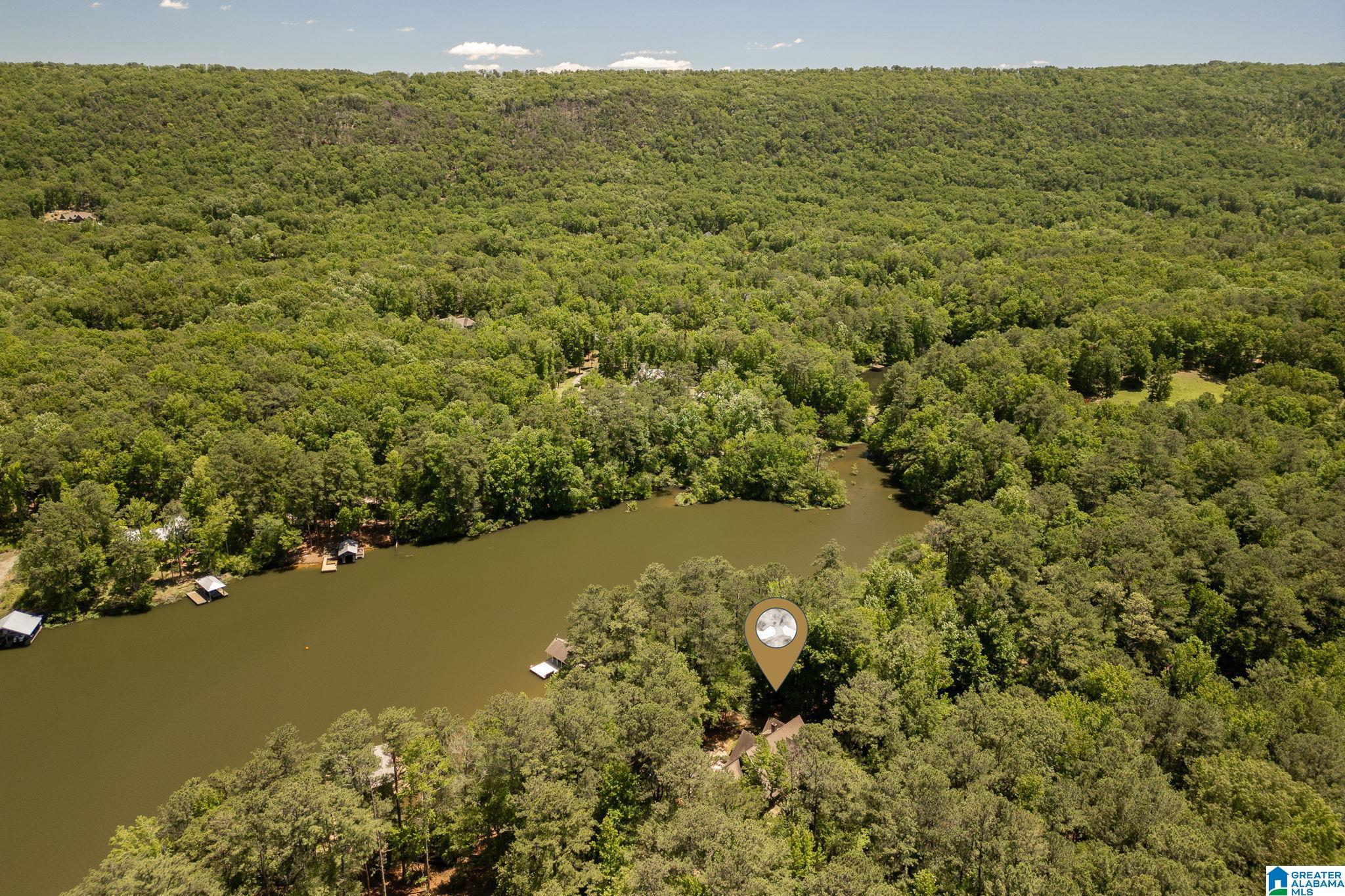 1726 Smyer Lake Road Birmingham, AL 35242 - Photo 69 of 72