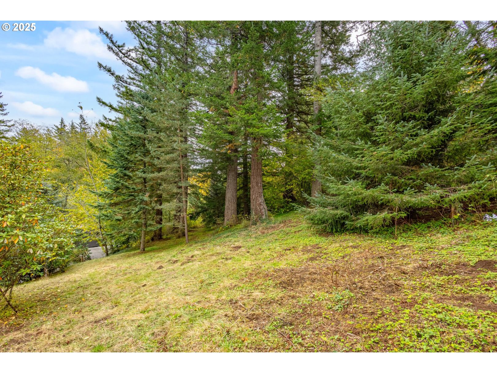 421 Southeast Pounder Road Corbett, OR 97019 - Photo 37 of 40