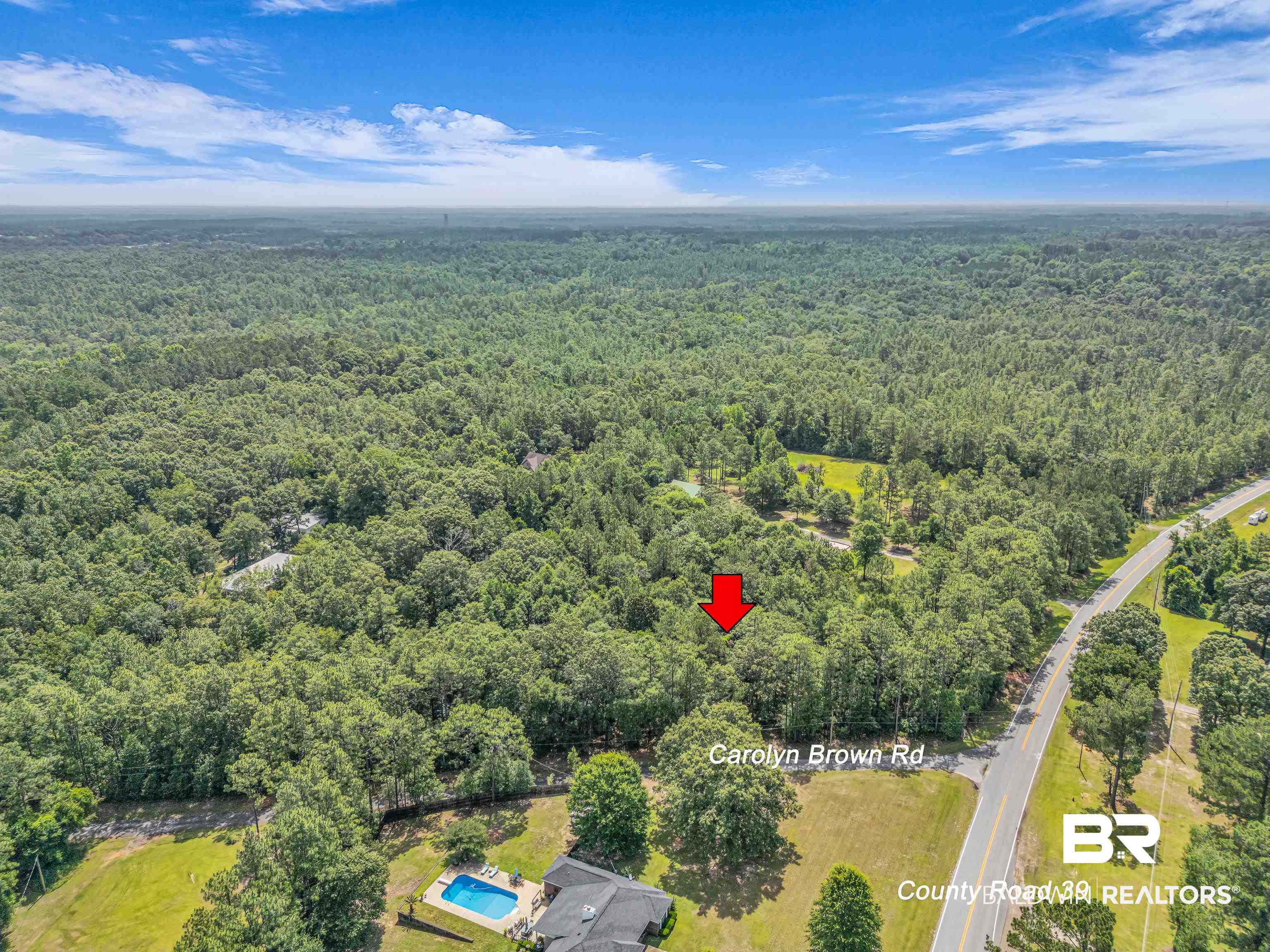 39 County Road 39 Stapleton, AL 36578 - Photo 8 of 16 Drone / aerial view of a heavily wooded area