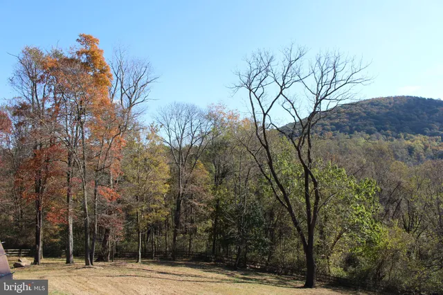 a view of a swimming pool with a yard