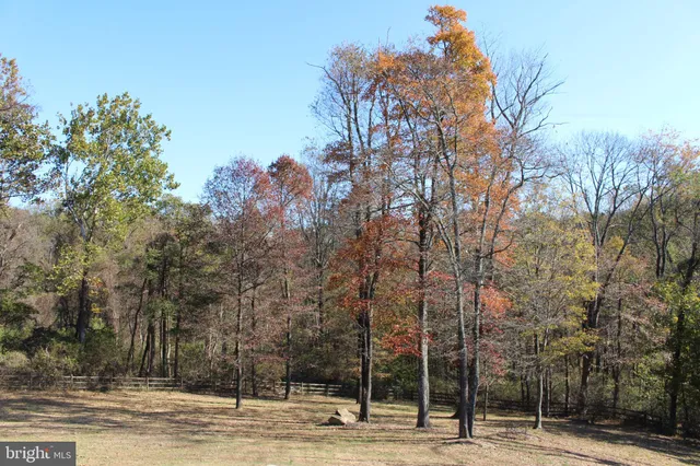 a view of a mountain