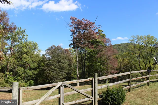 a view of a field with a tree in a yard