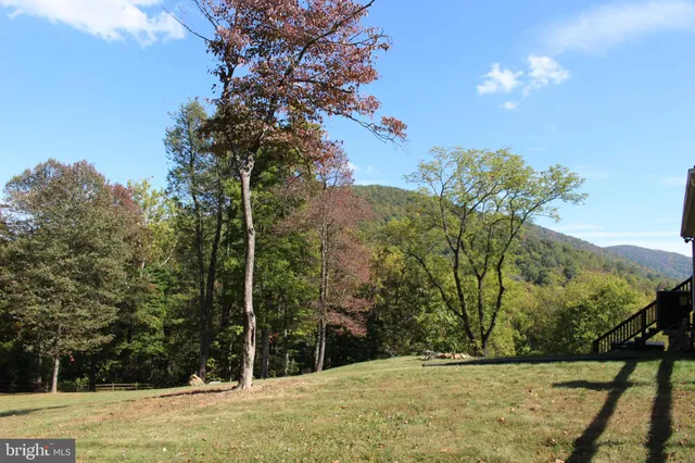 a view of outdoor space with trees