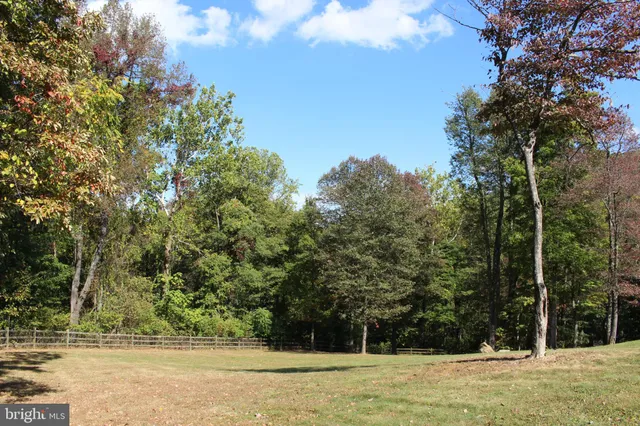 a view of a field with trees in the background
