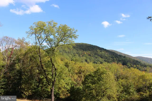 a view of a garden with basketball court