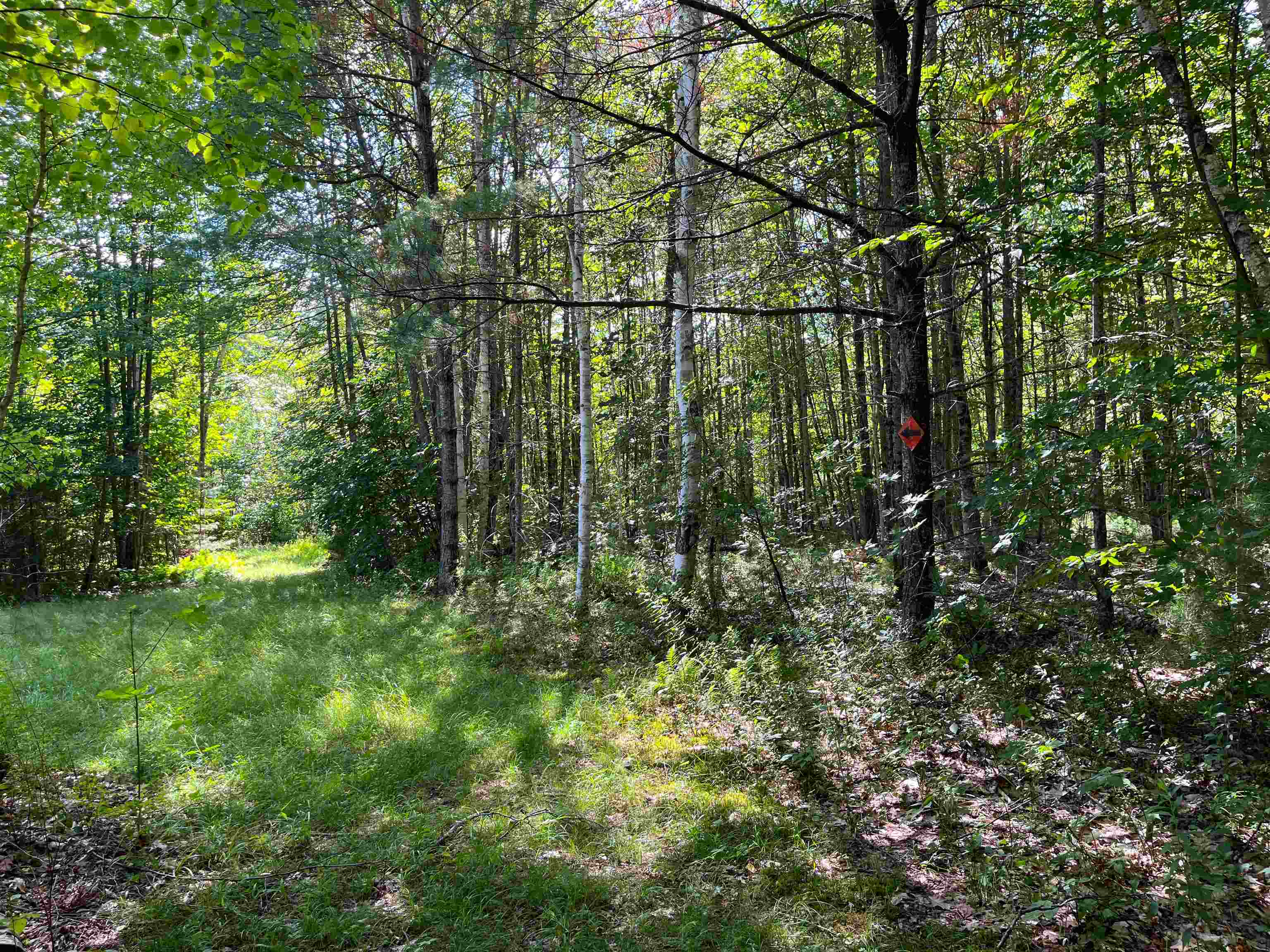 146 Lang Road Monroe, NH 03771 - Photo 37 of 37