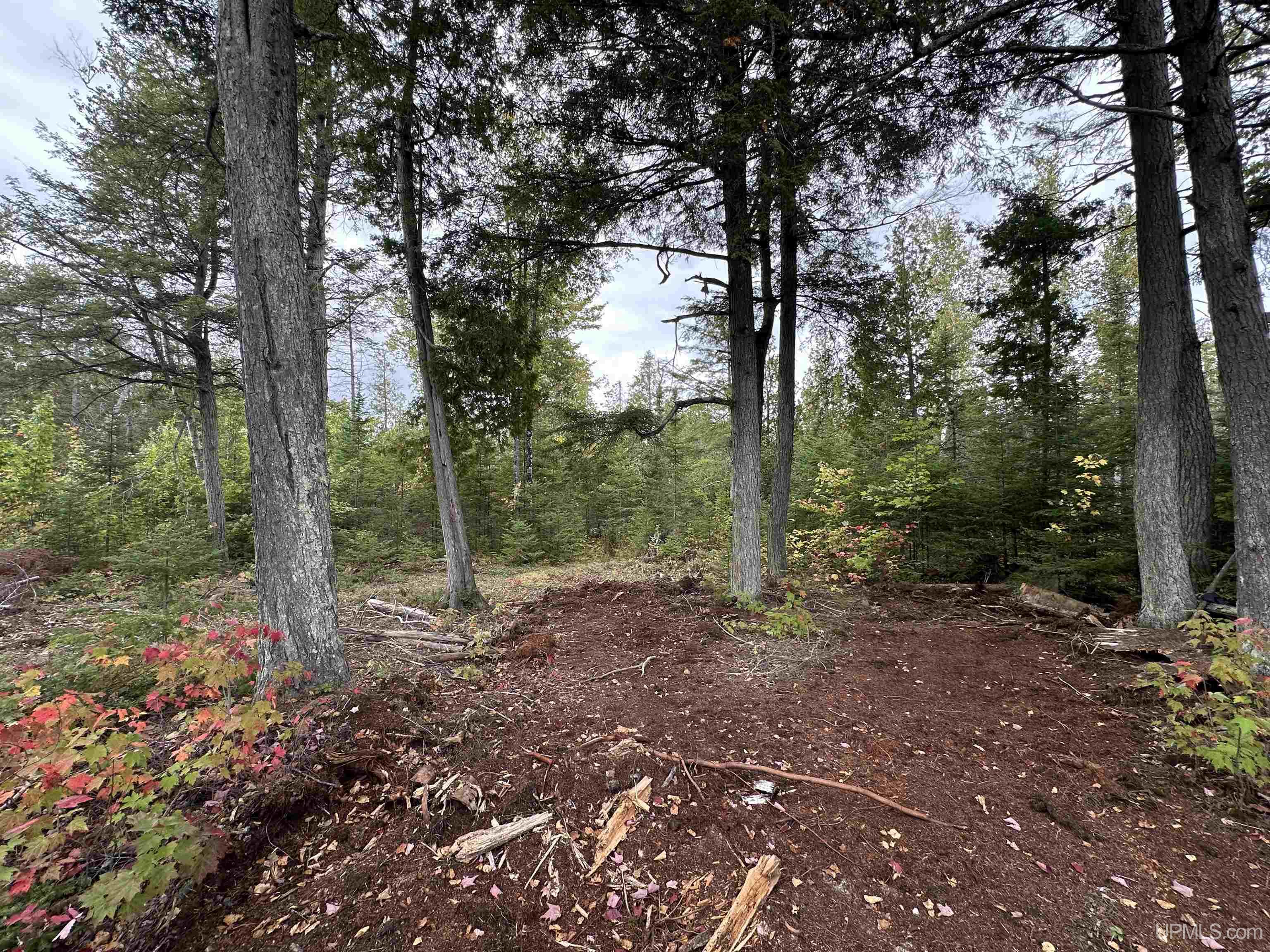 705 Winters Road Trenary, MI 49891 - Photo 12 of 13