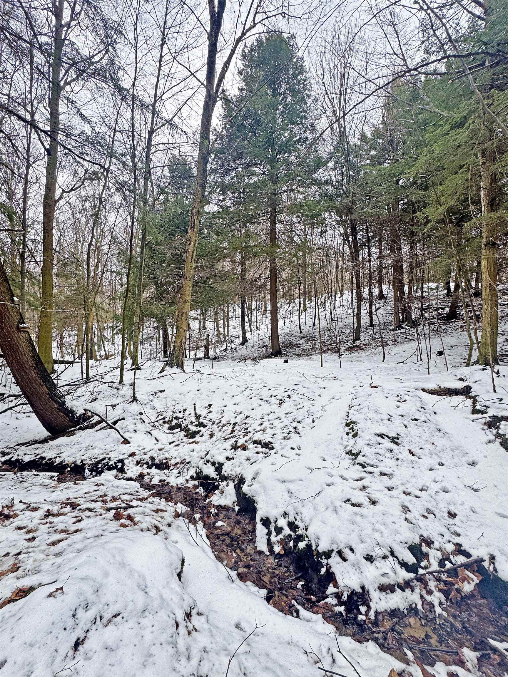 82-107 Moon Ridge Road, Unit LOT: 82,107 Onekama, MI 49675 - Photo 26 of 48